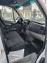 Mercedes-Benz Sprinter 313 CDI Bianco - thumbnail 8