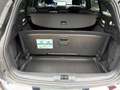 Ford Focus Wagon 1.0 Eco 155pk AUT. Hybrid ST Line X Navi gro Zwart - thumbnail 26