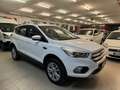 Ford Kuga Kuga 2.0 TDCI 120 CV S&S 2WD Powershift Business Blanc - thumbnail 1