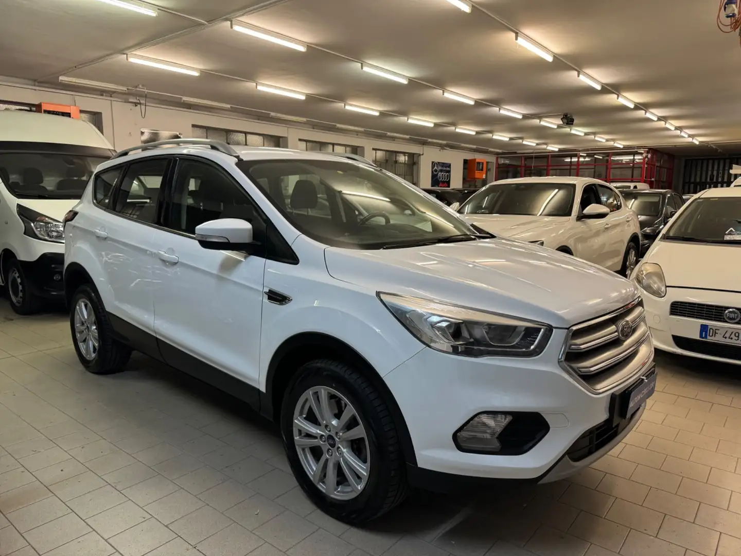 Ford Kuga Kuga 2.0 TDCI 120 CV S&S 2WD Powershift Business Blanc - 1