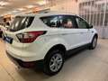Ford Kuga Kuga 2.0 TDCI 120 CV S&S 2WD Powershift Business Blanc - thumbnail 2