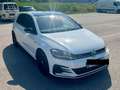 Volkswagen Golf GTI Golf GTI TCR 2,0 TSI DSG GTI TCR Weiß - thumbnail 1