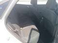 Ford Puma 1.0 EcoBoost MHEV Titanium 125 Blanco - thumbnail 6