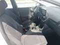 Ford Puma 1.0 EcoBoost MHEV Titanium 125 Blanco - thumbnail 5