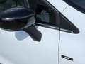 Renault Clio 0.9 tce Moschino Intens 90cv PRONTA CONSEGNA bijela - thumbnail 8