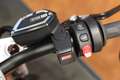 BMW R nineT R 12 NineT - thumbnail 6