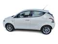Lancia Ypsilon 1.2 69 CV Gold Bianco - thumbnail 5