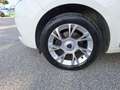 Lancia Ypsilon 1.2 69 CV Gold Bianco - thumbnail 14