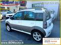 Fiat Panda 1.3 MJT 16V 4x4 Cross *72000 KM*GANCIO TRAINO* Blanc - thumbnail 4