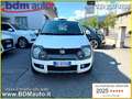 Fiat Panda 1.3 MJT 16V 4x4 Cross *72000 KM*GANCIO TRAINO* Blanc - thumbnail 17