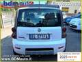 Fiat Panda 1.3 MJT 16V 4x4 Cross *72000 KM*GANCIO TRAINO* Blanc - thumbnail 18