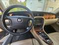 Jaguar Sovereign XJ V8, 298 PS, Luftfederung (CATS), TÜV 10/2027 - thumbnail 11