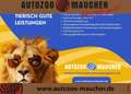 Skoda Kamiq 1.0 TSI Selection PDC/SHZ Grau - thumbnail 1