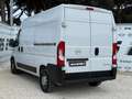 Opel Movano L2H2 Blue HDI 140 S&S Edition +IVA Bianco - thumbnail 4