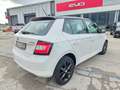 Skoda Fabia Fabia 1.0 mpi Twin Color Design Edition Nero 60cv Bianco - thumbnail 4