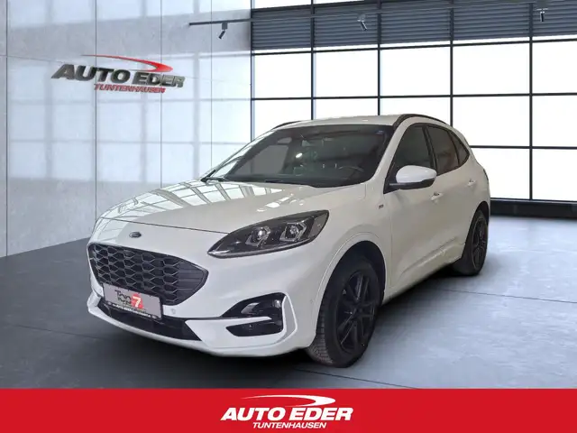 2023 Ford Kuga in White for sale