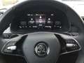 Skoda Kamiq 1.0 TSI DSG Selection LED ACC APP Kamera Grau - thumbnail 7