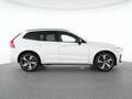Volvo XC60 T6 Recharge AWD Plus Dark 21"+VOLL-LED+360° Weiß - thumbnail 12