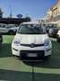 Fiat Panda Panda III 2021 1.0 firefly hybrid s Blanc - thumbnail 2