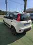 Fiat Panda Panda III 2021 1.0 firefly hybrid s Blanc - thumbnail 6