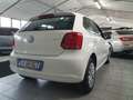 Volkswagen Polo Polo V 5p 1.2 tdi Comfortline - thumbnail 6