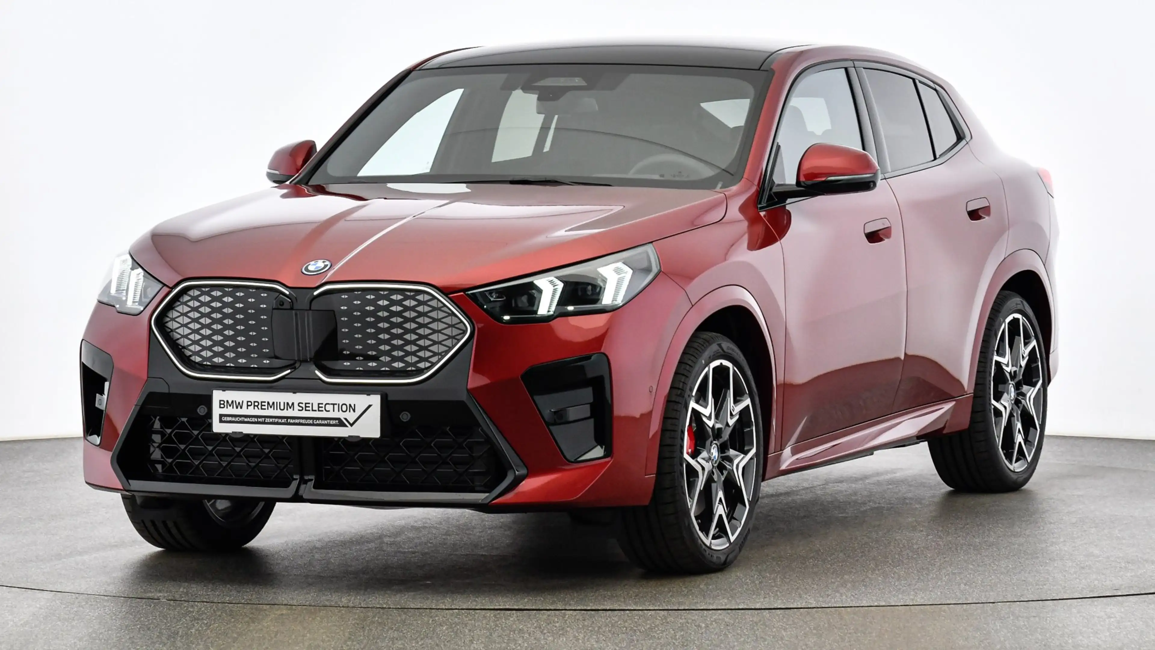 BMW iX2 xDrive30 *M-Paket Pro/AHK/Pano/Innovationspaket/H&K Sound/Head-Up/360°/DA-Prof./Adapt. LED* — photo 6