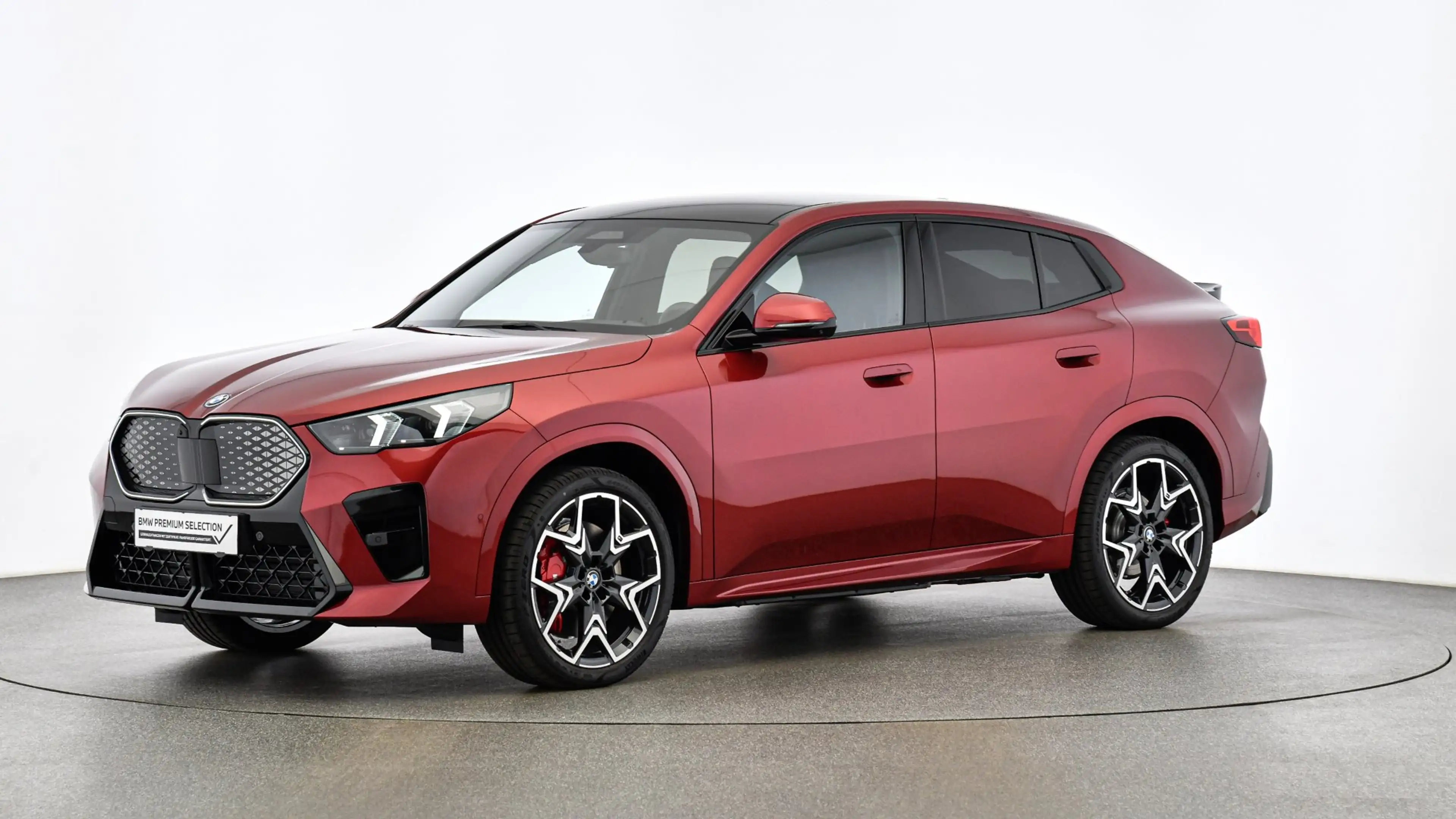 BMW iX2 xDrive30 *M-Paket Pro/AHK/Pano/Innovationspaket/H&K Sound/Head-Up/360°/DA-Prof./Adapt. LED* — photo 5