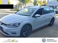 Volkswagen Golf Variant Golf VII Variant 1.0 TSI Sound *AHK*PDC*SITZH* Silber - thumbnail 1