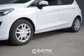 Ford Fiesta 1.5 ecoblue 85CV Business Weiß - thumbnail 4