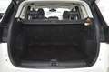 Ford Kuga 2.0 TDCI 180 CV S&S Powershift 4WD Vignale Weiß - thumbnail 15