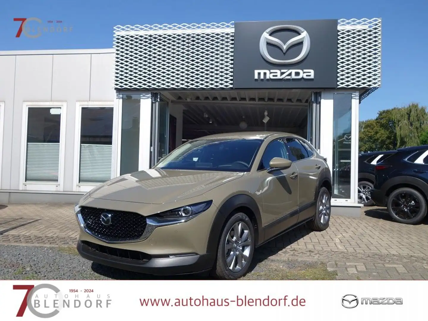 Mazda CX-30 Exclusive-Line 140 Automatik Matrix-LED|BOSE|Alexa Braun - 1