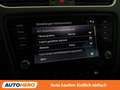 Skoda Octavia 1.6 TDI Style Grau - thumbnail 25