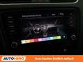 Skoda Octavia 1.6 TDI Style Grau - thumbnail 28