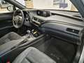 Lexus UX 200 UX 2019 250h 2.0 Business 2wd cvt my20 Gris - thumbnail 10