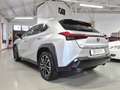 Lexus UX 200 UX 2019 250h 2.0 Business 2wd cvt my20 Gris - thumbnail 15