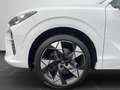 CUPRA Terramar VZ 2.0 TSI DSG 4x4 PANO AHK 360° KAM SH Weiß - thumbnail 8