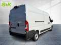 Toyota Proace Max 2.2 Diesel 103kW (140 PS) Blanco - thumbnail 4