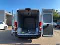 Toyota Proace Max 2.2 Diesel 103kW (140 PS) Blanco - thumbnail 12