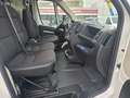 Peugeot Boxer 330 L1H1 Pro BlueHDi 120 Stop&Start Weiß - thumbnail 10