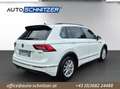 Volkswagen Tiguan 2,0 TDI SCR 4Motion Sky DSG Weiß - thumbnail 5