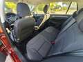 Volkswagen Golf 1.0 TSI Advance 85kW Burdeos - thumbnail 8