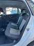 Volkswagen Polo Polo Karat 1,6 TDI Karat Weiß - thumbnail 9