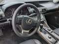 Lexus IS 300 300h Executive Blanco - thumbnail 7