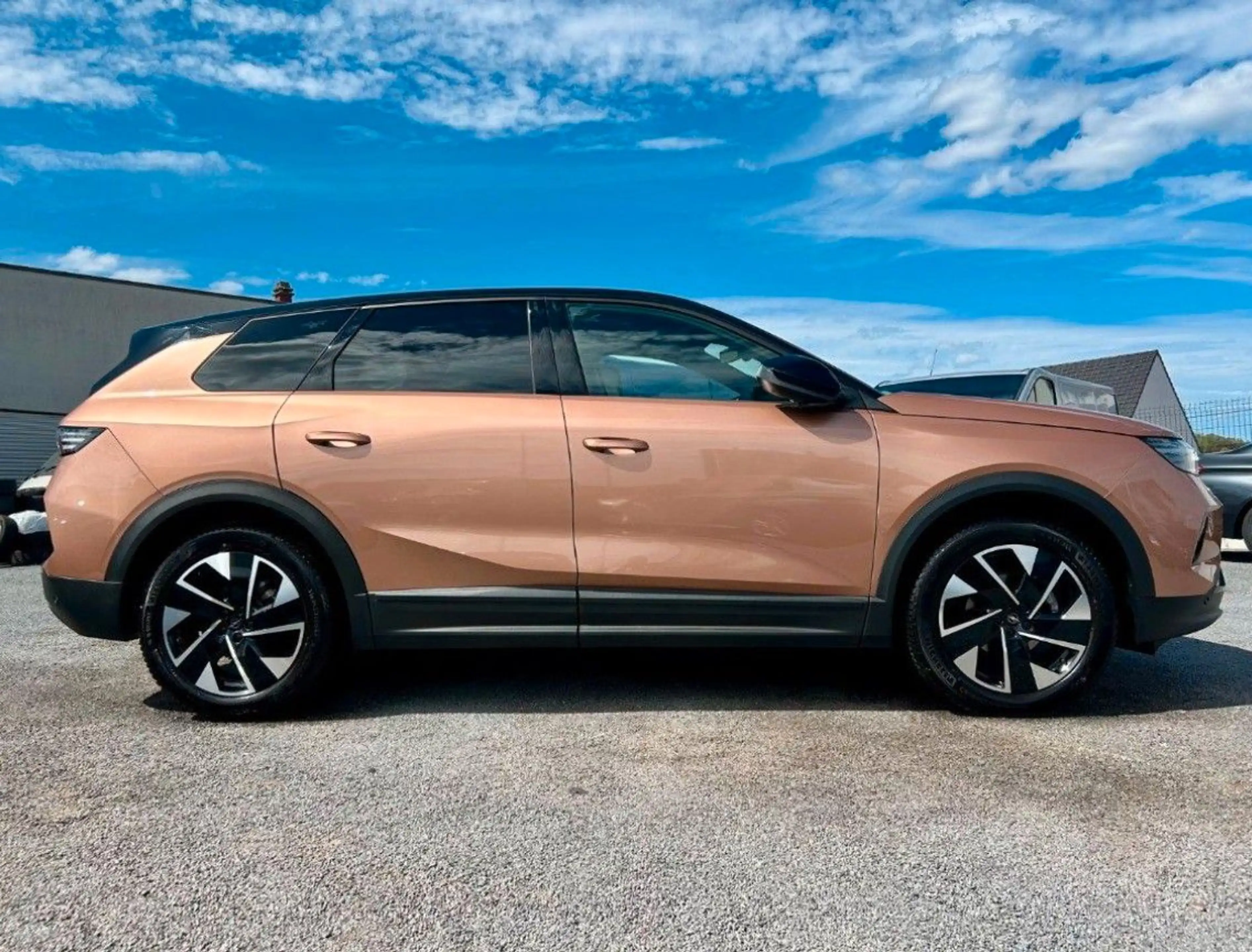 Opel Others Grandland (X)AHK + PANORAMA + ACC — photo 4