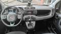 Fiat Panda 1.0 FireFly S&S Hybrid City Life Weiß - thumbnail 9