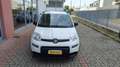 Fiat Panda 1.0 FireFly S&S Hybrid City Life Weiß - thumbnail 6