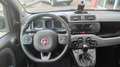 Fiat Panda 1.0 FireFly S&S Hybrid City Life Weiß - thumbnail 8