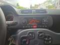 Fiat Panda Easy 1.2 8V Easy Komfort-Paket Rot - thumbnail 14