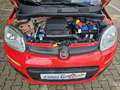 Fiat Panda Easy 1.2 8V Easy Komfort-Paket Rot - thumbnail 13