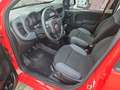 Fiat Panda Easy 1.2 8V Easy Komfort-Paket Rot - thumbnail 7